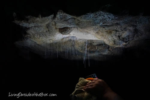 Waitomo Glowworm Caves New Zealand-02431